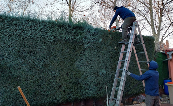 galería de imágenes de Deam Garden Jardineros