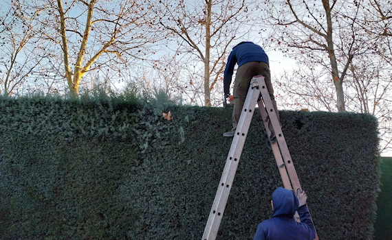 galería de imágenes de Deam Garden Jardineros