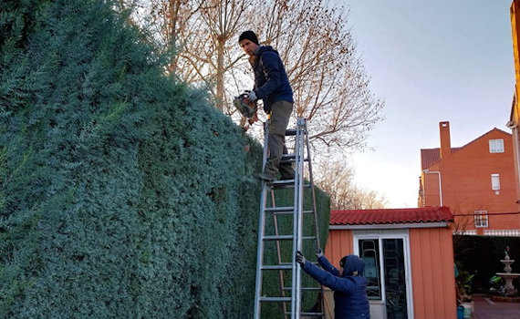 galería de imágenes de Deam Garden Jardineros