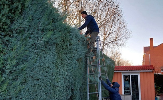 galería de imágenes de Deam Garden Jardineros