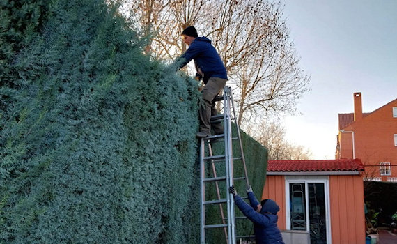 galería de imágenes de Deam Garden Jardineros