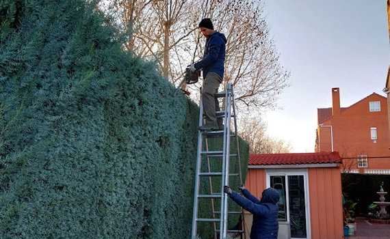 galería de imágenes de Deam Garden Jardineros