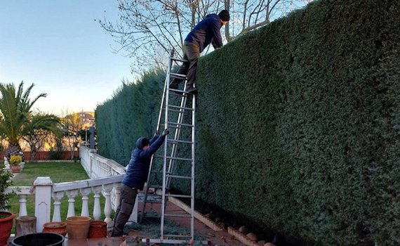 galería de imágenes de Deam Garden Jardineros