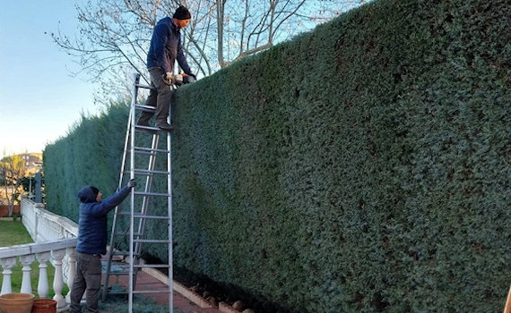 galería de imágenes de Deam Garden Jardineros