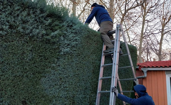 galería de imágenes de Deam Garden Jardineros