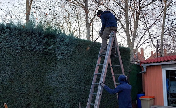 galería de imágenes de Deam Garden Jardineros