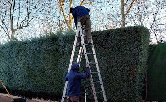 galería de imágenes de Deam Garden Jardineros