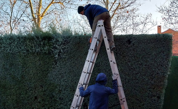 galería de imágenes de Deam Garden Jardineros