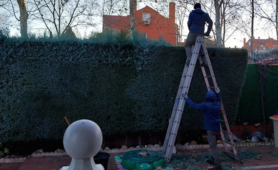 galería de imágenes de Deam Garden Jardineros