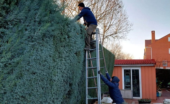 galería de imágenes de Deam Garden Jardineros